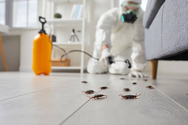 Trusted Mosquito Control service in Marlow Heights, MD - Nex Pest Control