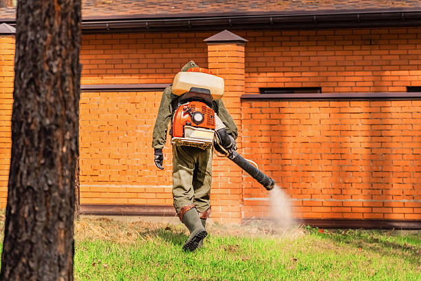 Trusted Emergency Pest Control service in Marlow Heights, MD - Nex Pest Control